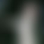 SaloméetImranxx, Couple, 34 ans, Etalle (2)