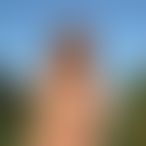 LilyEtCôme, Couple, 32 ans, Vaux-sur-Sûre (2)